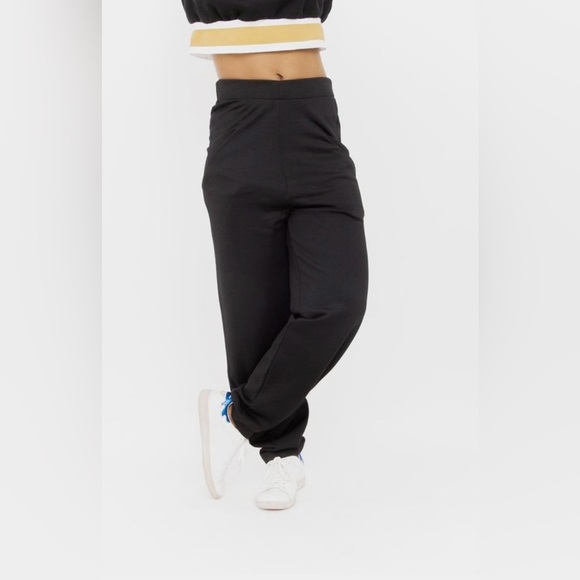 GUC Acne Studios- Agostina Curved Pants. Size M - Picture 1 of 9